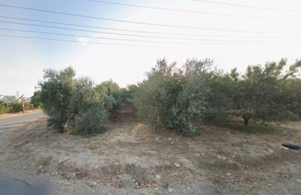 Antalya Kepez Kızıllı'da 6.372 m² Satılık Hisseli Tarla görsel 3